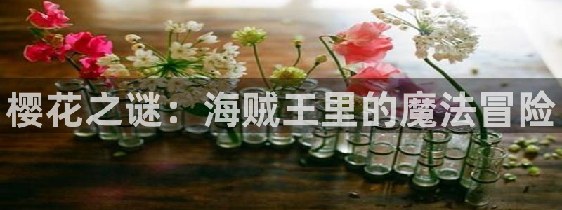age漫画网：樱花之谜：海贼王里的魔法冒险