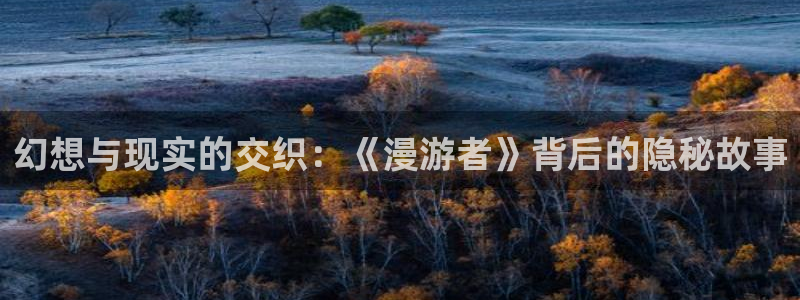 age动漫正版网：幻想与现实的交织：《漫游者》背后的隐秘故事