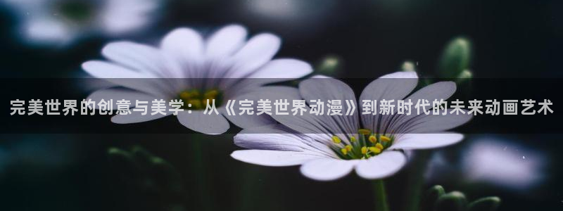age专注动漫的门户网站：完美世界的创意与美学：从《完美世界动漫》到新时代的未来动画艺术