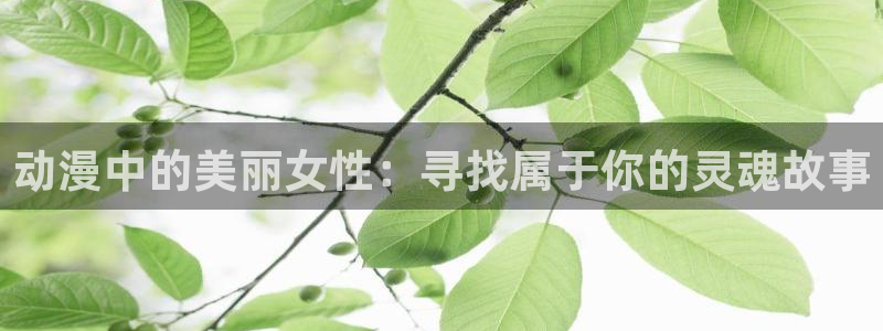 age动漫：动漫中的美丽女性：寻找属于你的灵魂故事