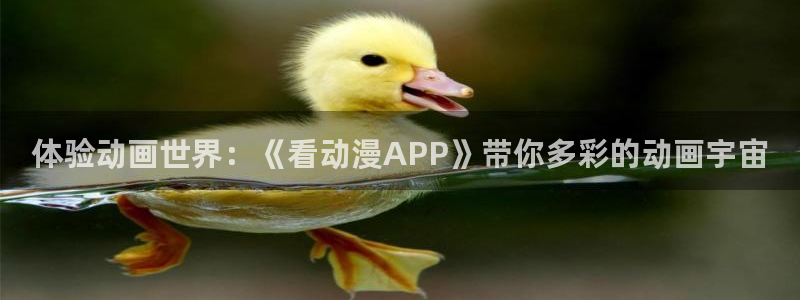 age动漫正版网：体验动画世界：《看动漫APP》带你多彩的动画宇宙