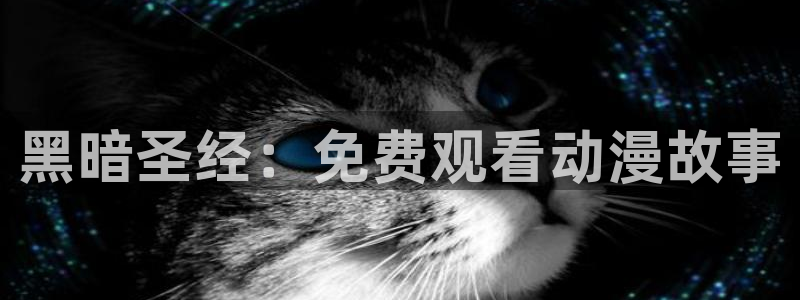 age动漫官网版入口：黑暗圣经：免费观看动漫故事