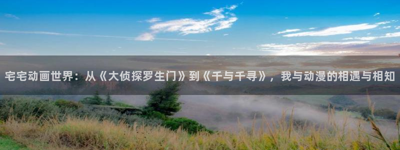 age动漫官网入口老版本