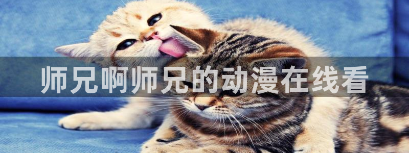 韩国漫画平台kakaopage