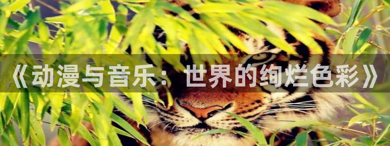 age动漫樱花
