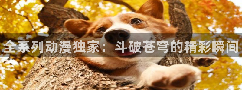 age樱花动漫