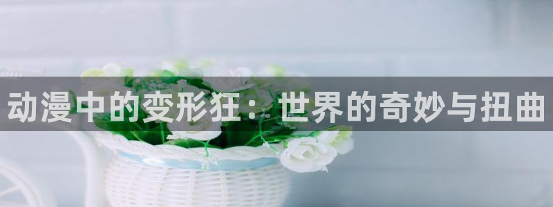 下载age动漫