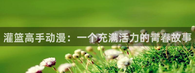 age动漫官网入口老版本