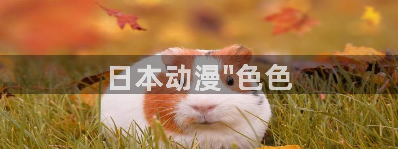 age动漫网