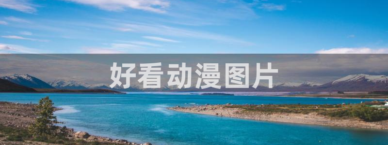 managereader漫画官网入口