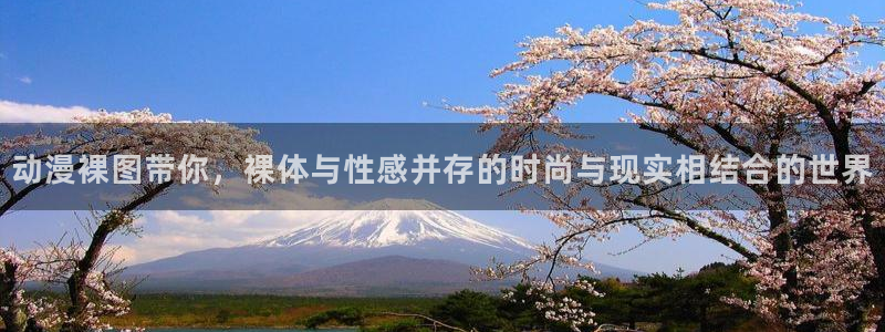 age动漫樱花