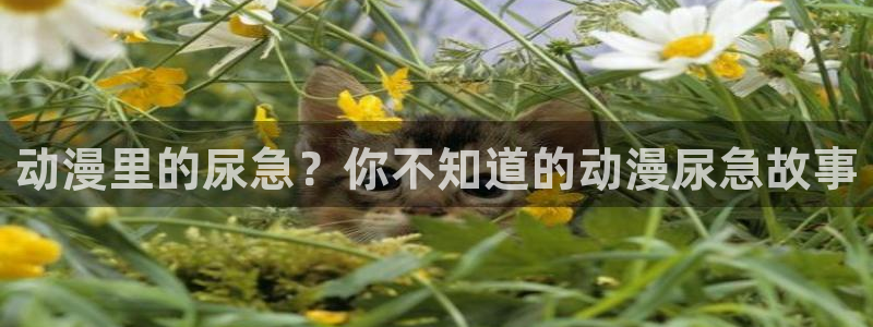 age动漫下载动漫全免费