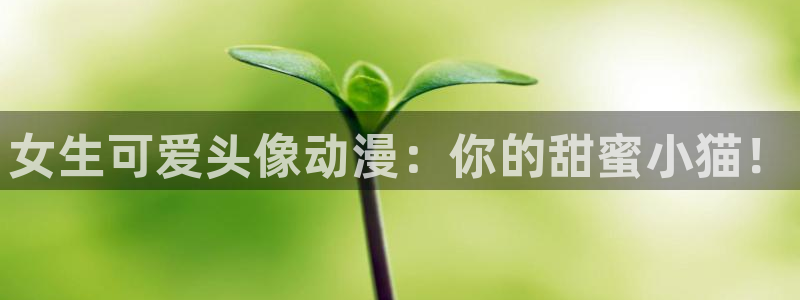 age动漫下载动漫全免费