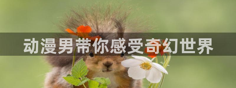 age动漫官网入口老版本