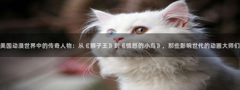 age动漫网上看