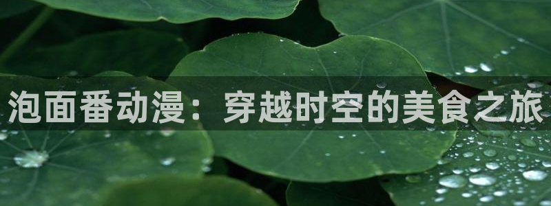 age动漫网上看：泡面番动漫：穿越时空的美食之旅