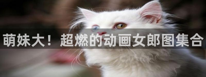 age漫画网：萌妹大！超燃的动画女郎图集合