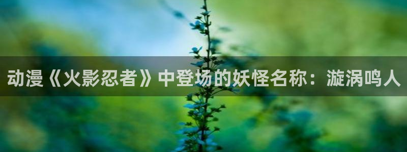 age樱花动漫