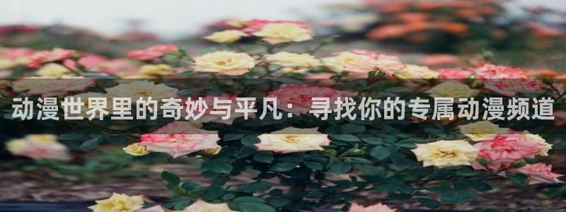 age动漫下载网