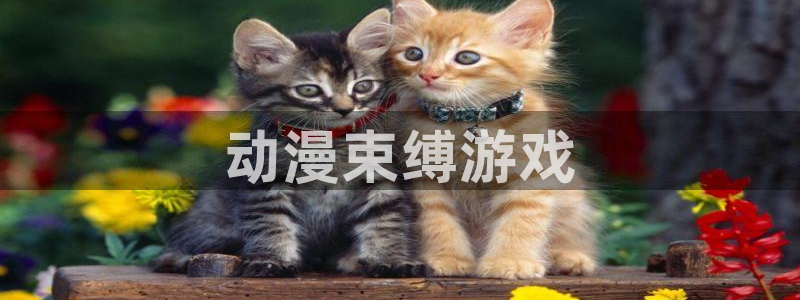 下载age动漫